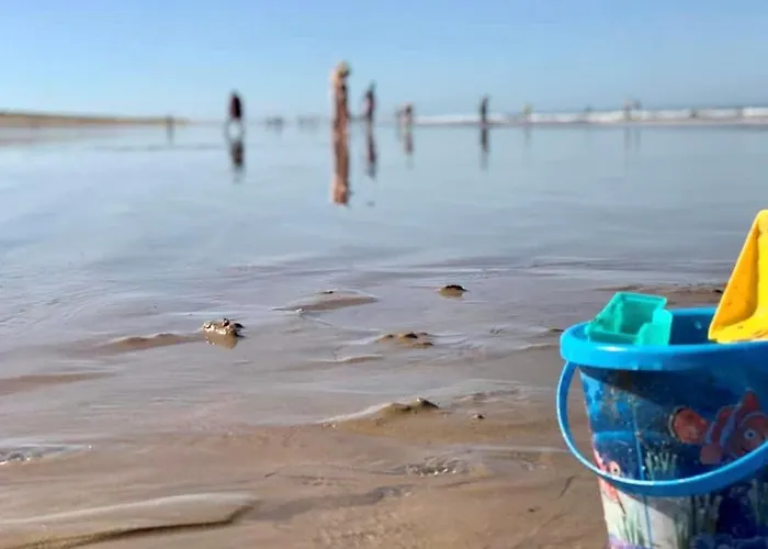 Maison Avec Piscine Chauffee, Tennis, Wi-fi A 600m De La - Fr-1-231-311 度假居 布雷蒂诺斯梅尔