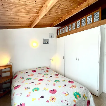 Nyaraló Maison Avec Piscine Chauffee, Tennis, Wi-fi A 600m De La - Fr-1-231-311 Brétignolles-sur-Mer